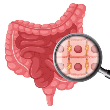 Colon Cleanse- How to Cleanse Colon with Cleaners | Vita Wellness Pro