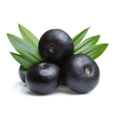 Super Acai Berries- Health Benefits | Vita Wellness Pro