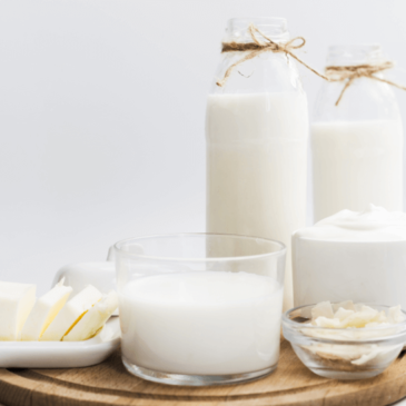 Dairy- Is Bad For Me? Health Risk and Truth- Vita Wellness Pro