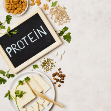 Protein Benefits- Why Important in Your Diet? | Vita Wellness Pro