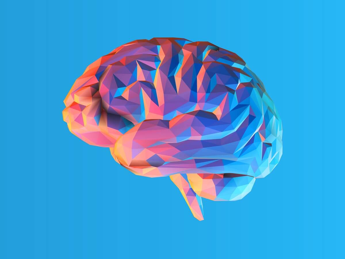 Phospholipids to The Brain